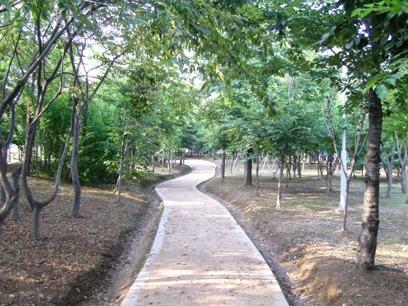 SNC10535.JPG
