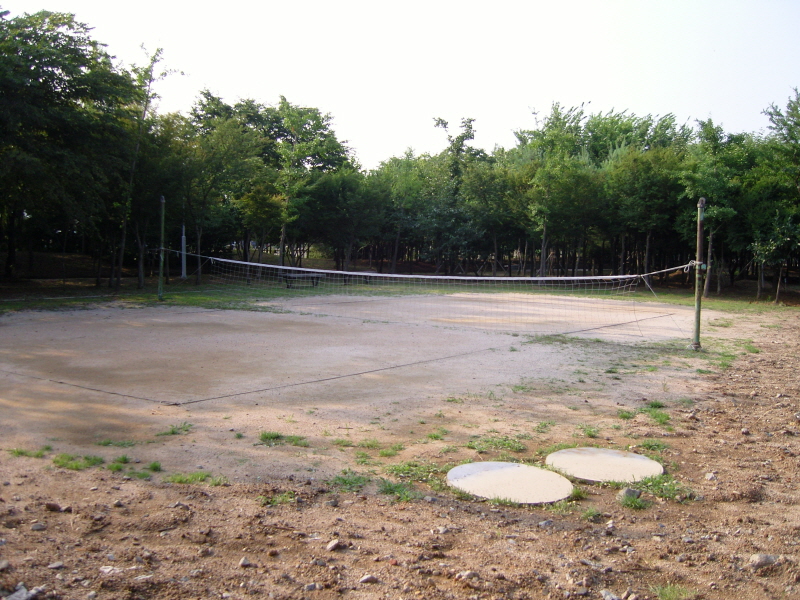 SNC10533.JPG