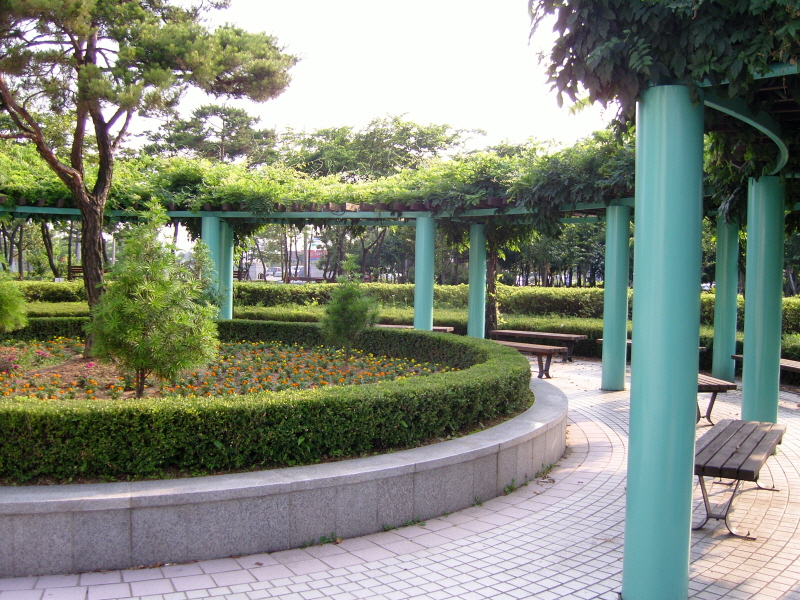 SNC10538.JPG